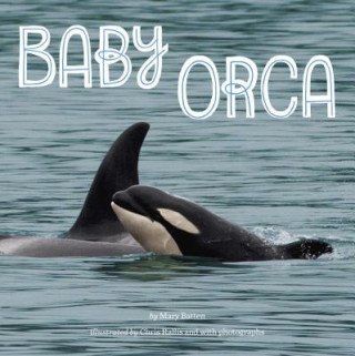 Carte Baby Orca Mary Batten