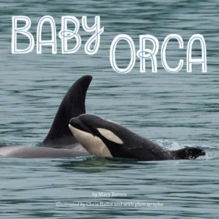 Knjiga Baby Orca Mary Batten