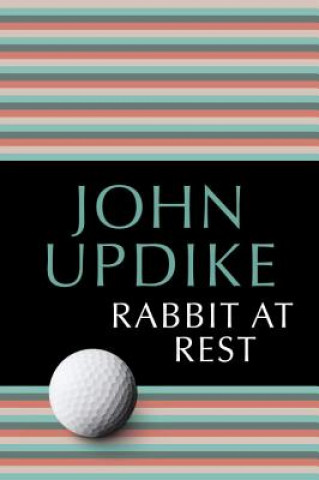 Kniha Rabbit at Rest John Updike