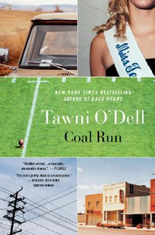 Kniha Coal Run Tawni O'Dell