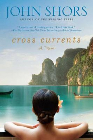 Knjiga Cross Currents John Shors