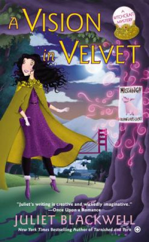 Buch A Vision in Velvet Juliet Blackwell