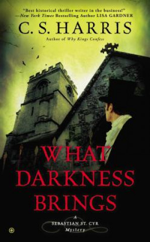 Kniha What Darkness Brings C. S. Harris