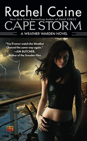 Kniha Cape Storm Rachel Caine