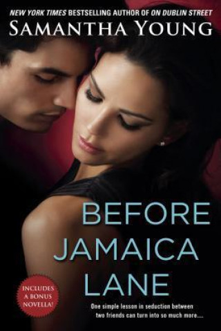 Könyv Before Jamaica Lane Samantha Young
