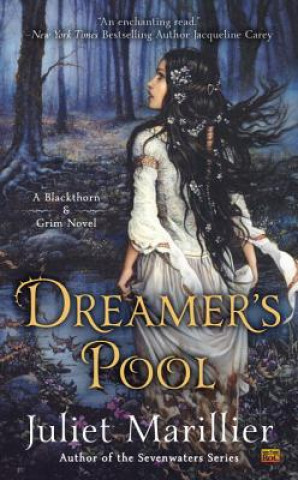 Kniha Dreamer's Pool Juliet Marillier