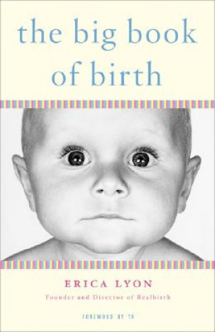 Kniha The Big Book of Birth Ericka Lyon