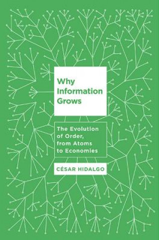 Buch Why Information Grows Cesar Hidalgo