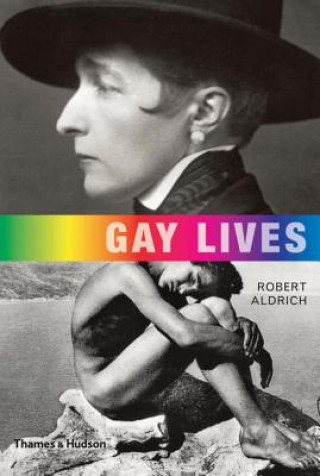 Kniha Gay Lives Robert Aldrich