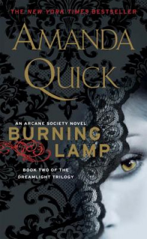 Könyv Burning Lamp Amanda Quick