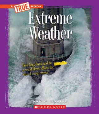 Kniha Extreme Weather Ann O. Squire