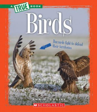 Kniha Birds Ann O. Squire