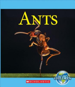 Книга Ants Josh Gregory