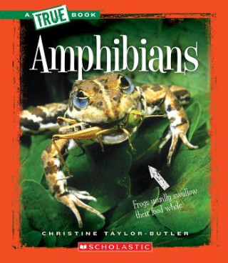 Książka Amphibians Christine Taylor-Butler