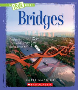 Knjiga Bridges Katie Marsico