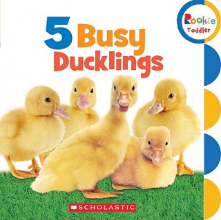 Książka 5 Busy Ducklings (Rookie Toddler) Scholastic Inc.