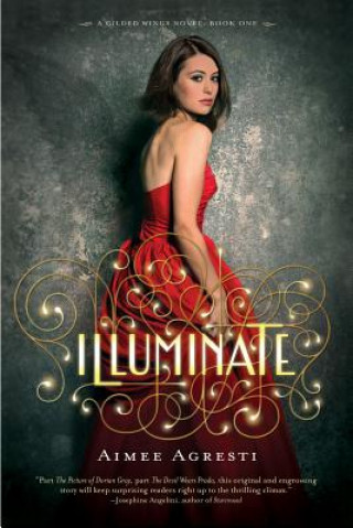 Livre Illuminate Aimee Agresti