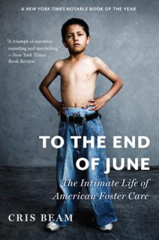 Libro To the End of June Cris Beam