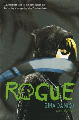 Book Rogue Gina Damico