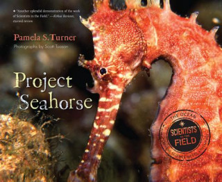 Книга Project Seahorse Pamela S. Turner