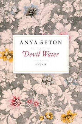 Kniha Devil Water Anya Seton