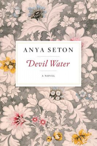 Könyv Devil Water Anya Seton