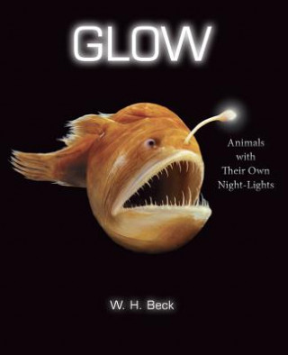Kniha Glow W. H. Beck