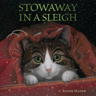 Könyv Stowaway in a Sleigh Roger Mader