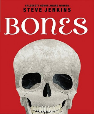 Kniha Bones Steve Jenkins