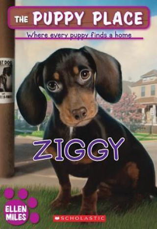 Knjiga Ziggy Ellen Miles