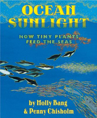 Kniha Ocean Sunlight Molly Bang