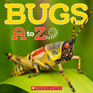 Kniha Bugs A to Z Caroline Lawton