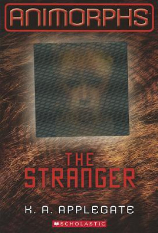 Kniha The Stranger Katherine Applegate