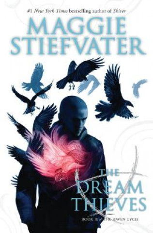 Kniha The Dream Thieves Maggie Stiefvater