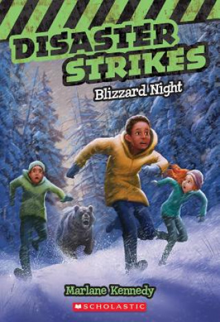 Kniha Blizzard Night Marlane Kennedy