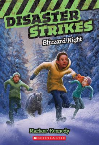 Книга Blizzard Night Marlane Kennedy