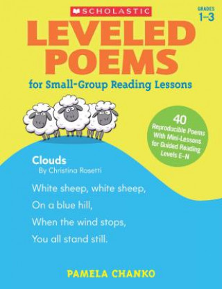 Kniha Leveled Poems for Small-Group Reading Lessons, Grades 1-3 Pamela Chanko