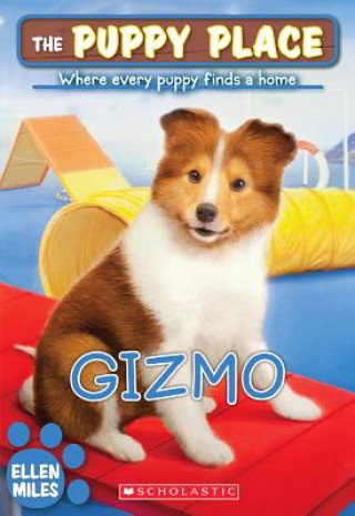 Könyv Gizmo Ellen Miles