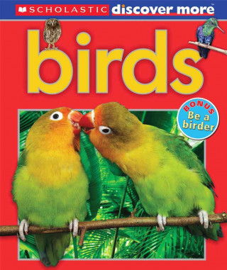 Kniha Birds Penelope Arlon