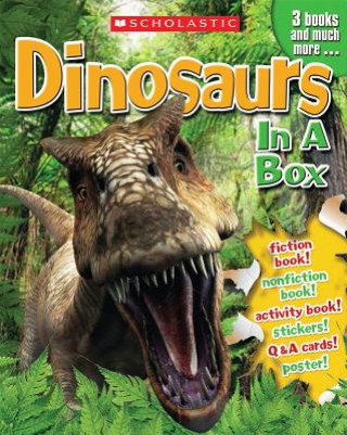 Könyv Dinosaurs in a Box Gina Shaw