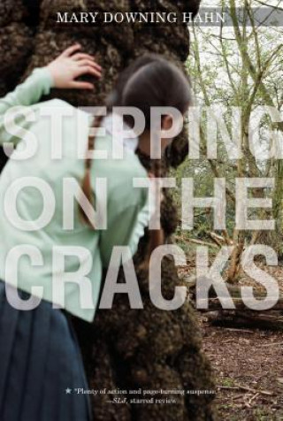 Libro Stepping on the Cracks Mary Downing Hahn