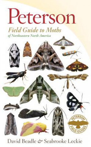 Kniha Peterson Field Guide to Moths of Northeastern North America David Beadle