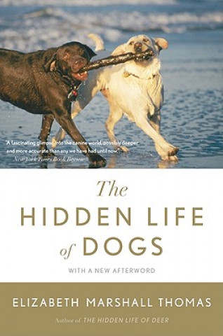 Książka The Hidden Life of Dogs Elizabeth Marshall Thomas
