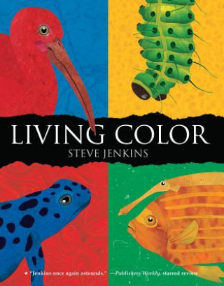 Carte Living Color Steve Jenkins