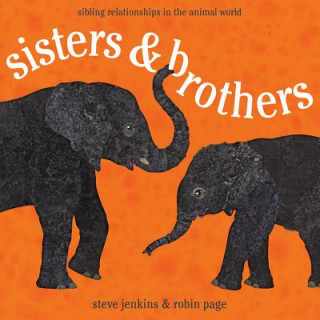 Könyv Sisters & Brothers Steve Jenkins