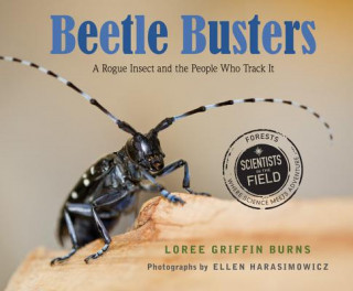 Książka Beetle Busters Loree Griffin Burns