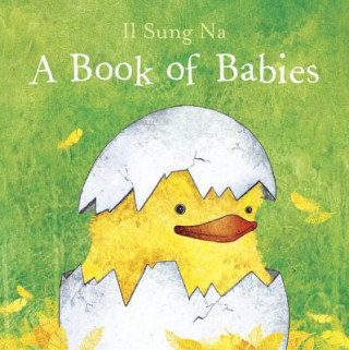 Kniha A Book of Babies Il Sung Na