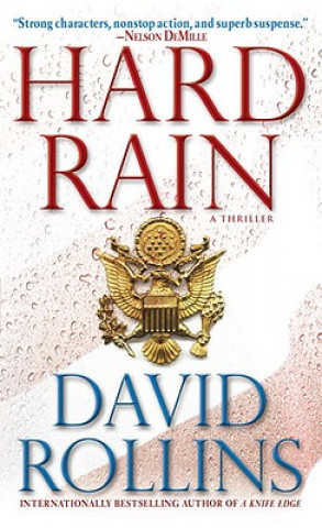 Kniha Hard Rain David Rollins