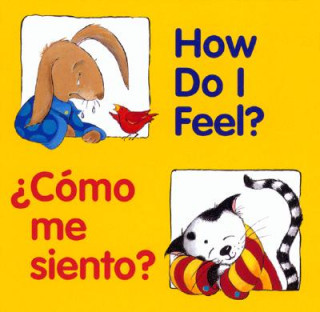 Kniha How Do I Feel? /  Como me siento? Pamela Cote