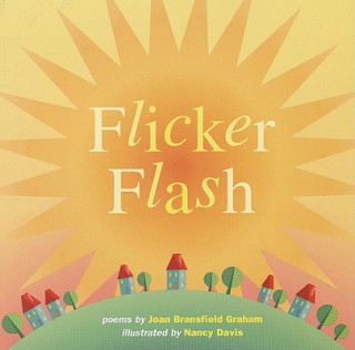 Knjiga Flicker Flash Joan Bransfield Graham